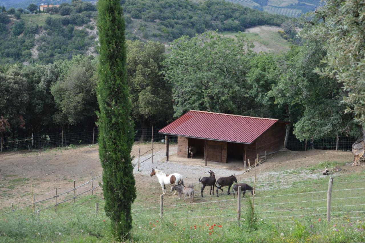 Bellavista Villa Seggiano Buitenkant foto