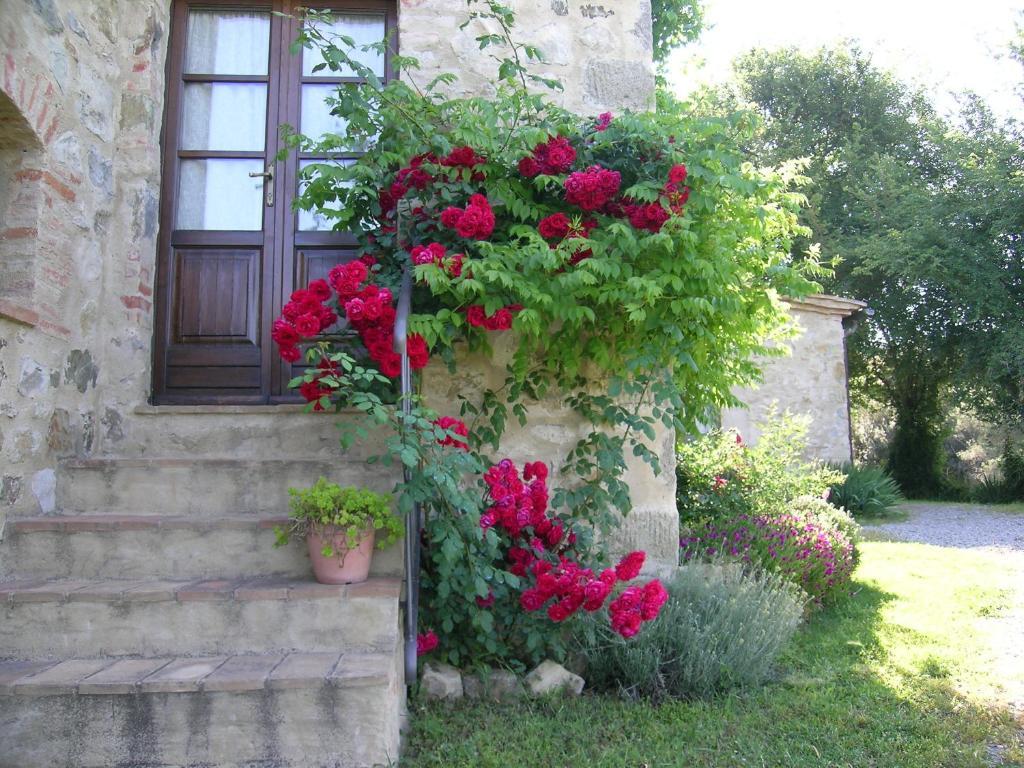 Bellavista Villa Seggiano Buitenkant foto
