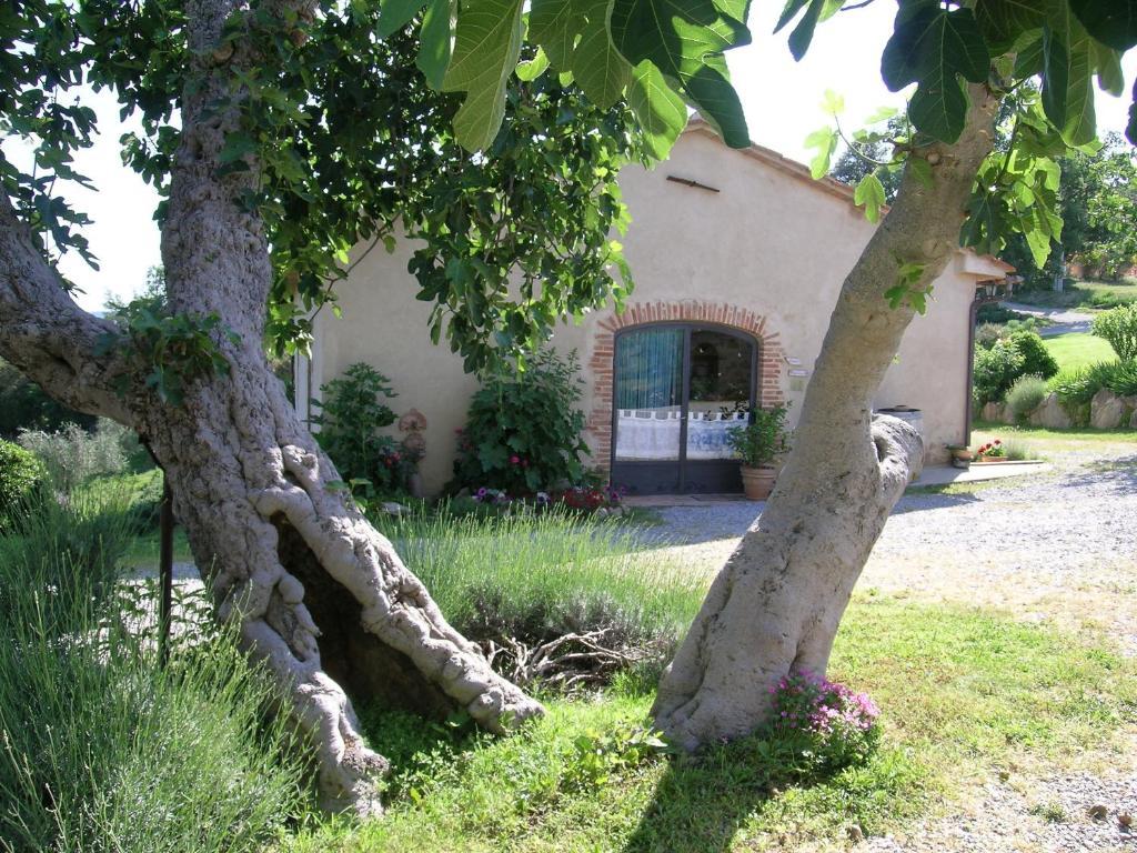 Bellavista Villa Seggiano Buitenkant foto
