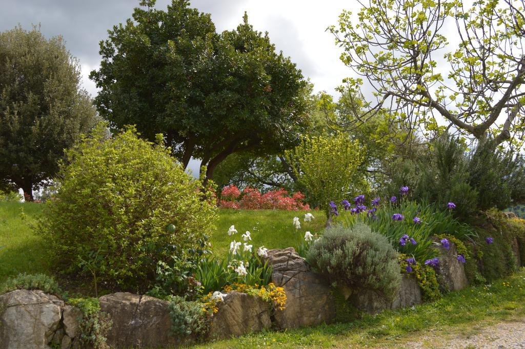 Bellavista Villa Seggiano Buitenkant foto